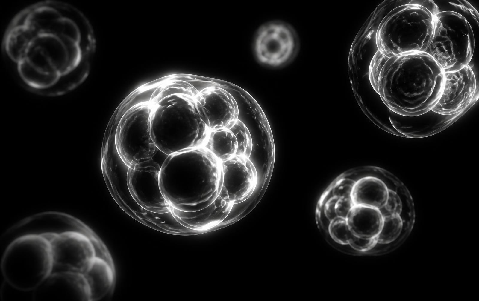 Cluster of translucent cells floating on a black field