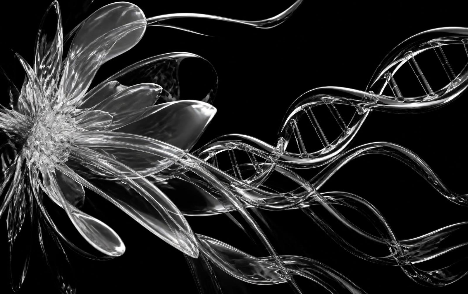 Glass petals and DNA helix rendered in white on black